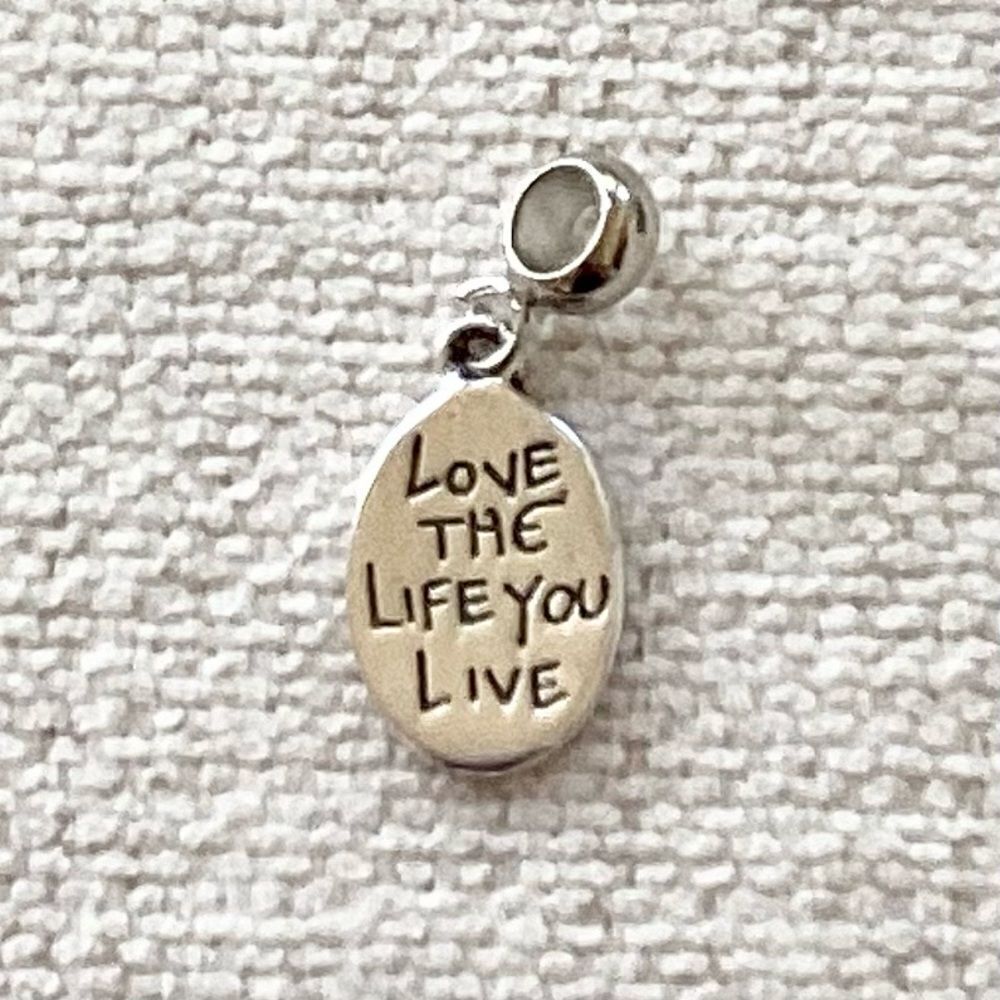 Love the Life You Live, Live the Life You Love Silver Charm - Picture 1 of 3
